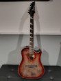 /album/chitarra-acustica-elettrificata-ibanez-alt50fa-rdb/whatsapp-image-2026-10-09-at-17-04-28-4-jpeg/
